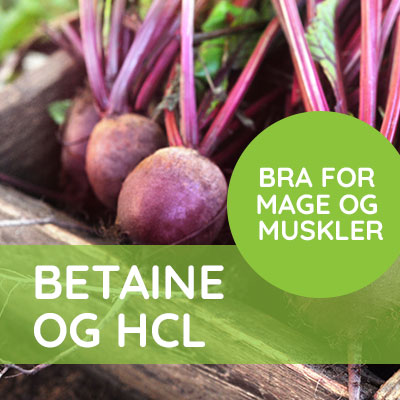 VitaminX bra for mage og muskler