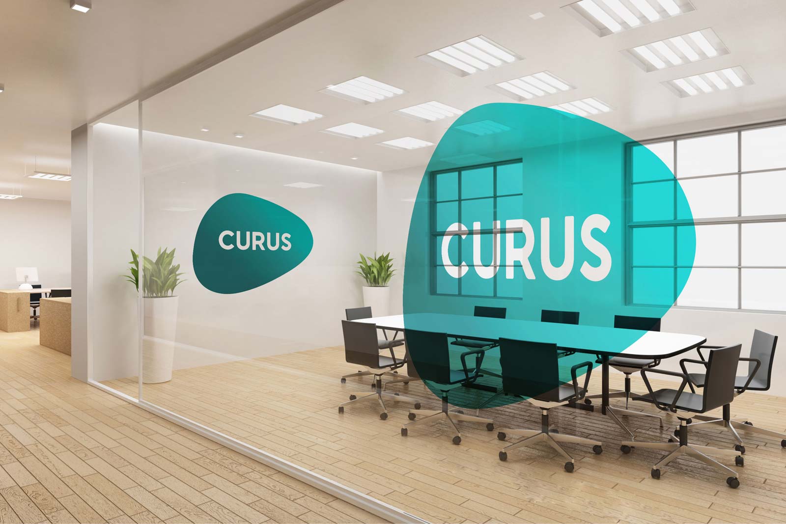 Curus meeting room